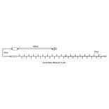 Showtec LED Rubber String Light WW 100 LED'S/10 M/LED-ruimte 10 cm LED kerstverlichting