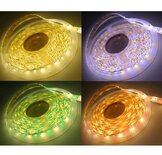 Set outdoor LED strip flexibel multi colour+warm wit RGBW 14,4 watt per meter IP44 incl controller (afstandsbediening) en voeding