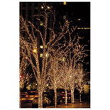 Showtec LED Rubber String Light WW 200 LED'S/20 M/LED-ruimte 10 cm led kerstverlichting