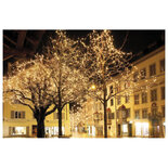 Showtec LED Rubber Curtain Light WW 900 LED'S/36 LED'S/string 3 m LED kerstverlichting