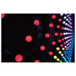 Showtec Pixel Bubble 80 MKII incl 15 strings 50mm RGB LED pixel balls