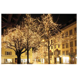 Showtec LED Rubber Curtain Light WW 500 LED'S/20 LED'S/string 1,5 m LED kerstverlichting