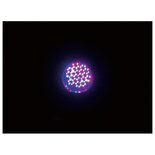 Showtec Par 36 Short, RGB LED